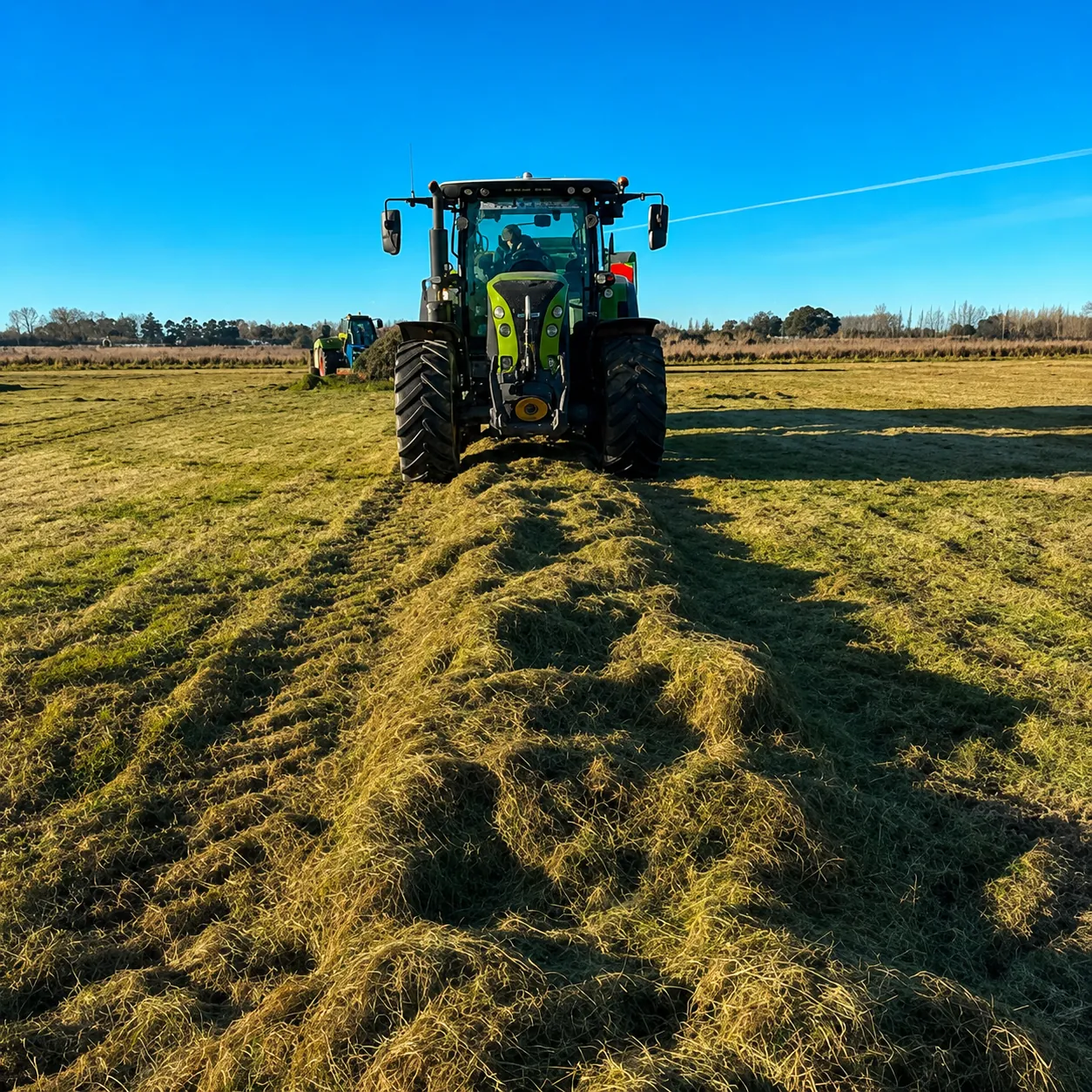 Claas tractor mowing grass into rows