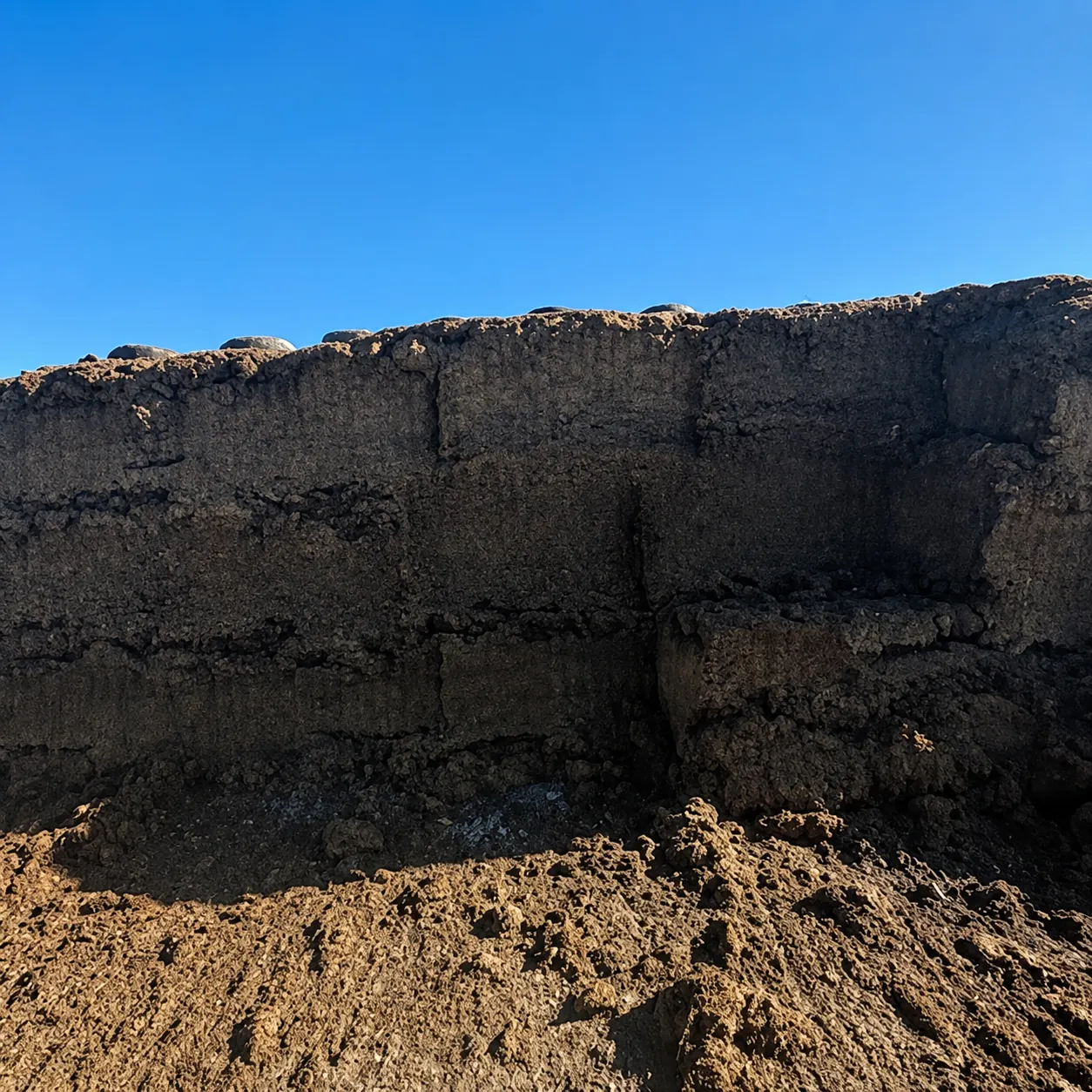 Compacted silage stack face