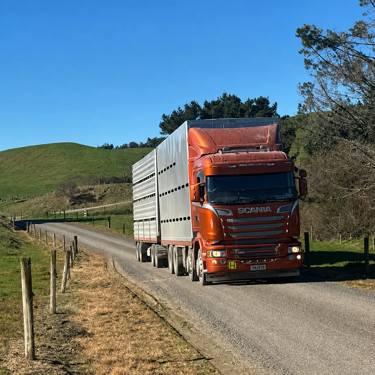 Livestock transport truck on a South Island road